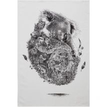 Galozzoit - Maxwell & Williams Marini Ferlazzo Paño de Cocina con Diseño de Koala de 100% Algodón, 50 x 70 cm – Blanco