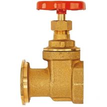 Flamco Pumpenschieber 1' Flansch x 1' Innengewinde