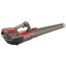 Mountfield - mbl 50 Li Souffleur à Batterie 48V – Moteur Brushless 650W – Vitesse d'Air Jusqu'à 55 m/s – Contrôle de Vitesse Variable – Léger et