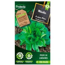 Protecta - Mâche Verte à coeur plein 3