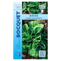 Mâche verte ronde maraîchère - 5g