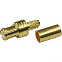 Telegärtner - 100024976 100024976 MCX-Steckverbinder Stecker, gerade 50 ω 1 St.