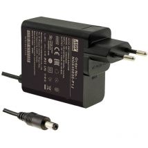 NGE45E05-P1J Alimentatore a spina tensione fissa 28.1 w - Mean Well
