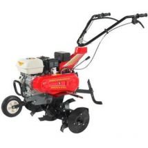 Meccanica Benassi - RL350 Motorhacke mit Honda GP160 4.8Hp Benzin Pinne 85 cm
