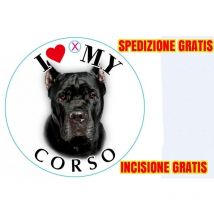 AZ - Medaglietta per cane corso spedizione e incisione gratis