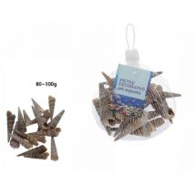 Trade Shop Traesio - Trade Shop - Muscheln Beutel Spirale Aquarium Dekoration 80-100gr 70281 -
