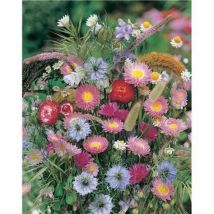 Melange bouquets secs - 2 g - Graines