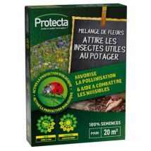Mélange de fleurs - Attire les insectes utiles au potager - 50g