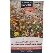 Mélange pied de mur : alternative au désherbage 7 m2