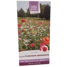 Mélange prairie fleurie : Floraison abondante 30 m2