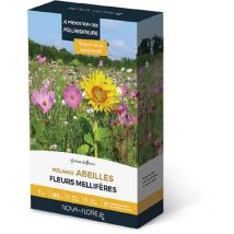 Mélanges abeilles fleurs mellifères 7 m2