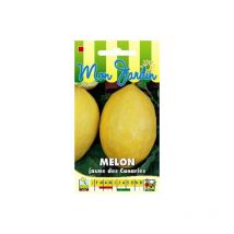 Melon Jaune des Canaries - 3g
