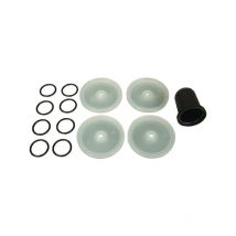 Membrane BERTOLINI 289887973