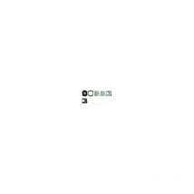Walbro - Kit membranes de carburateur compatibles avec D20-HDA