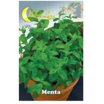 Menta Samen 10 Stück Für Garten Und Balkon