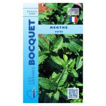 Menthe verte - 0,5g