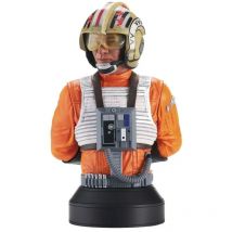 Merchandising Diamond collection SP232333