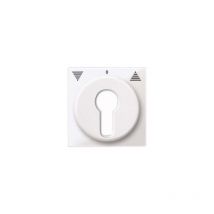 319419 ANATOMIQUE de plaque centrale pour volet roulant-inserts rast interrupteur system m, blanc polaire brillant - Merten