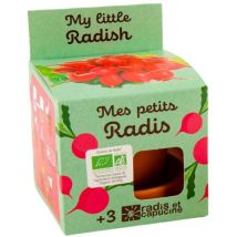Kit plantation - Radis bio - 8cm