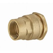 Noyon&thiebault - Messingfitting für Polyethylen-Rohr, weiblich F1' (26x34) ø 32 mm - 1730-3226L1
