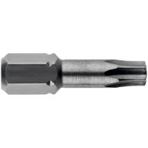 3 embouts pour vis Torx T40/ 25 mm Torsion (628526000) - Metabo