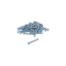 Vis métaux tête cylindrique fendue Lennie vmcf
