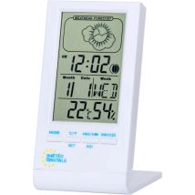 Thermomètre de jardin – STIL – Station météo mini 6031 – Dimensions : L105 x l58 x H11 mm – Poids : 65 g