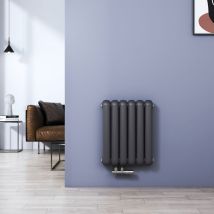 Meykoers - Radiateur à eau chaude 55x44cm Anthracite, Horizontal Radiateur chauffage eau 573W tube Double