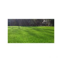 NMP - mezcla de semillas para césped deportivo 10kg - gazon sport 10kg