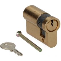 Mezza lampadina della Light Company 2000/40 cfe JIS