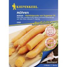 Möhre Mokum F1 Saatband 5 Lfd. Meter Gemüsesamen - Kiepenkerl