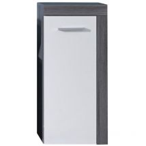 Trendteam - Armoire de rangement de sol Miami Blanc et argenté fumé