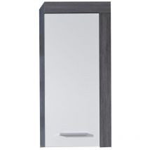 Trendteam - Armoire murale de rangement Miami blanc et argenté fumé