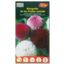 Semillas fito flores margarita de los prados variada 00574 (caja 10 unidades)