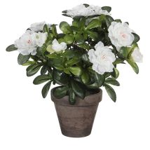 Azalée Artificielle Blanche En Gris Tiesto Ø11,5cmx27xø20cm