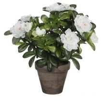 Azalée Artificielle Blanche En Gris Tiesto Ø11,5cmx27xø20cm