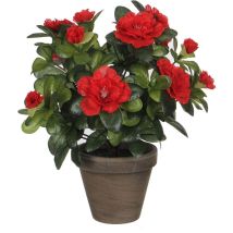 Azalea Artificielle Rouge En Pot Gris Ø11,5cmx27xø20cm