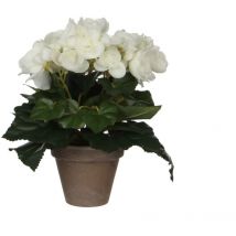 Mica Begonia im Topf weiß, 25 x 20 cm Kunstpflanzen