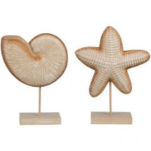 Mica Dekorationen Deko-Figur Hellbraun Muschel Stern de mar 24 x 17 x 17 cm
