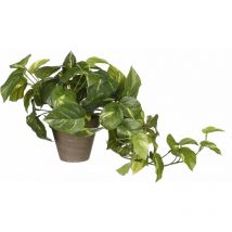 Mica Decorations - Mica Künstlicher Pothos Grün Im Topf 44 X 17 Cm Dekoblumen