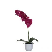 Mica Decorations - Mica Kunstpflanze Phalaenopsis im Topf violett, 60 x 16 cm Kunstpflanzen