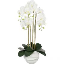 Mica Phalaenopsis Im Topf Weiß Polyester 82 Cm Eingetopft