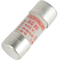 Michaud - Cartouche fusible cylindrique 22x58 ad 60A N203