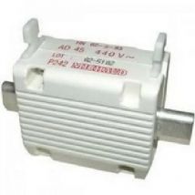 P242 - T00 AD45 fuse cartridge - Michaud