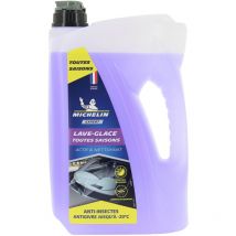 Michelin - Lave glace -20°C - 4 Litres