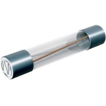 Püschel Feinsicherungen FSUF10,0B FSUF10,0B Micro-fusible (Ø x L) 6.3 mm x 32 mm 10 A 60 V rapide -F- Contenu 10 pc(s) X646671