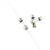 Eska - Micro-fusible 521.010 (ø x l) 5 mm x 20 mm 0.2 a 250 v semi-temporisé -mT- 10 pc(s) S22526