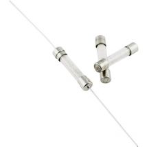 Eska - Micro-fusible 525.619 (ø x l) 5 mm x 25 mm 1.6 a 250 v rapide -f- 10 pc(s) S56701