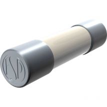 Micro-fusible Püschel Feinsicherungen FSUT0,8A (ø x l) 6.3 mm x 32 mm 0.8 a 500 v temporisé -t- 10 pc(s) Q126982