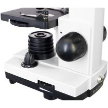 Levenhuk - Microscope numérique Rainbow D2L 0.3M, Moonstone of Moon